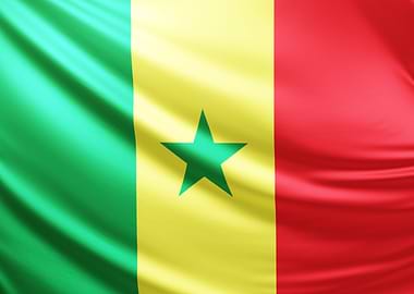 Senegalese Flag, realistic flag of Senegal