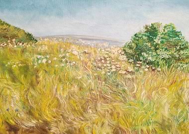 Summer Meadow Painting