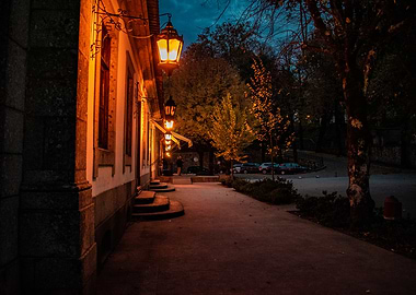 Street Lamp Lit Pathway