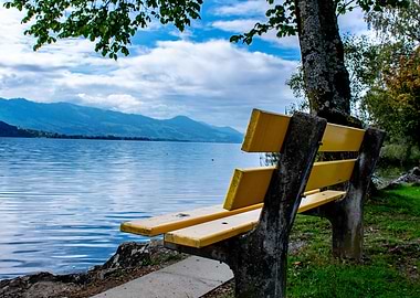 Yellow Bench by the Lake