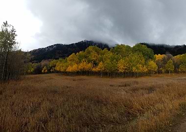 Autumn Meadow Landscape