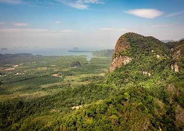 Lush Mountain Landscape