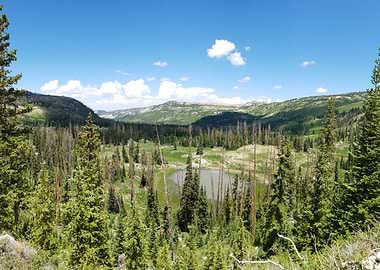Mountain Lake Landscape