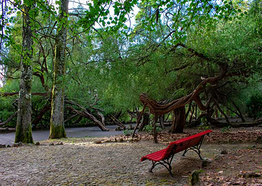 Red Bench in a Lush Forest