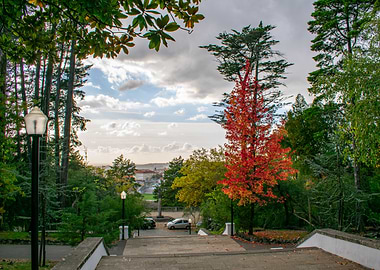 Autumnal Park Pathway