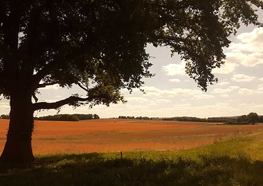 La nature au crépuscule
