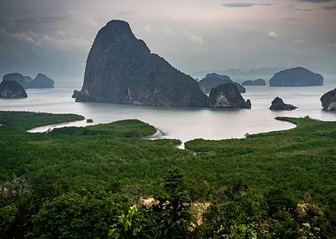 Island Bay Landscape
