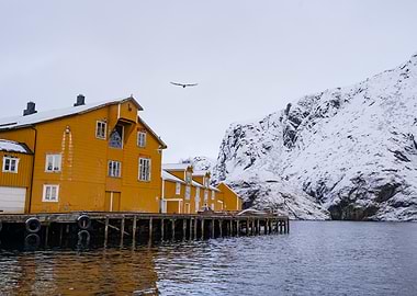 Yellow Houses by the Fjord