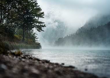 Misty Lake - Plansee I