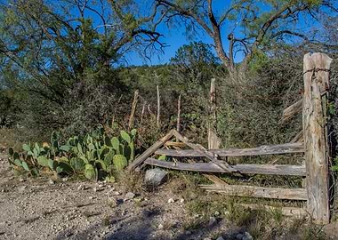 Rustic Wooden Gate with Cactus