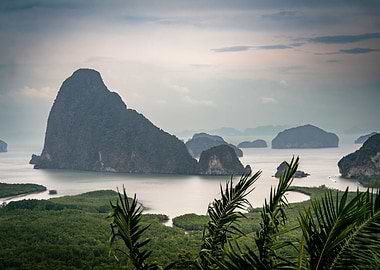 Island Bay Landscape