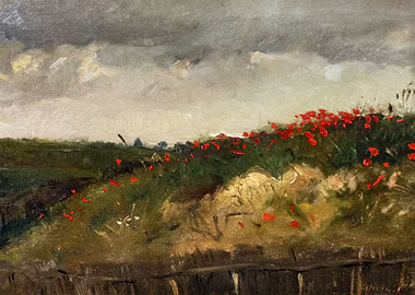 Poppy Field Landscape