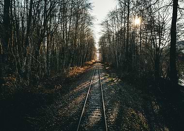 Train Tracks in Forest