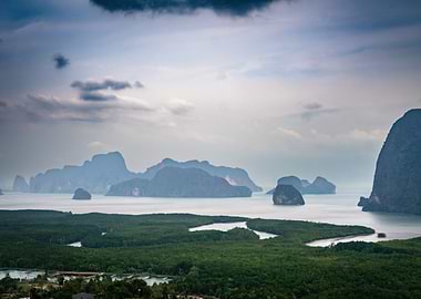 Island Bay Landscape
