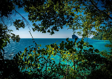 Tropical Island View