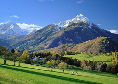 Mountain Meadow Landscape