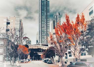 Cityscape with Autumn Trees