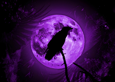 Raven and Purple Moon