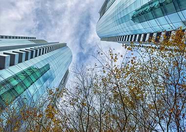 Modern Skyscrapers and Autumn Trees