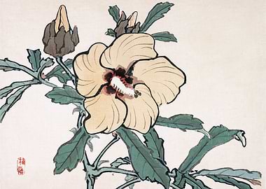 Japanese Flower Painting