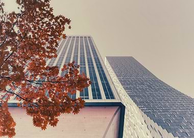 Autumn Skyscrapers