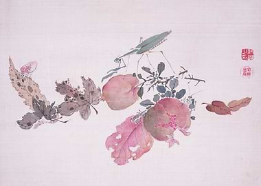 Watercolor Pomegranates & Insects