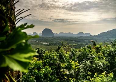 Jungle Landscape with Mountains