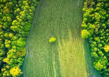 Aerial View of Green Field