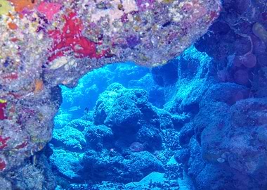 Underwater Cave View
