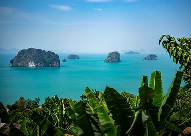 Tropical Island View