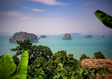 Tropical Island View