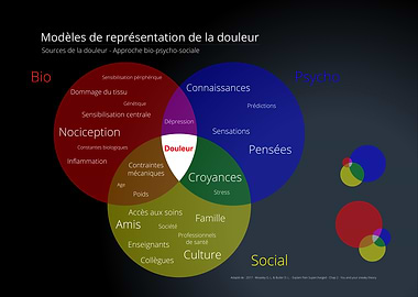 Bio-Psycho-Social Pain Model - French