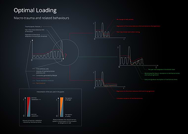 Optimal Loading Diagram