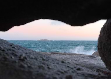 Through Natures Looking Glass