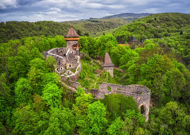 Ruined Castle in Forest