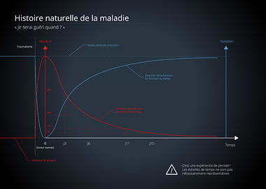 Natural History of illness Graph - French