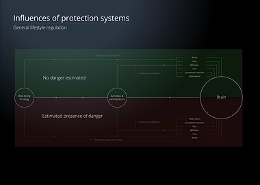 Protection Systems Diagram