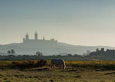 Horse Grazing with Castle in Distance