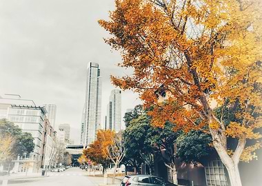 Autumn Cityscape