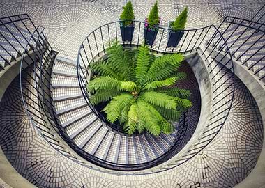 Spiral Staircase with Fern