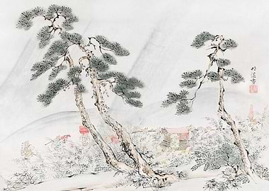 Japanese Pine Tree Landscape