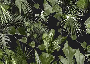 Lush Tropical Jungle 1