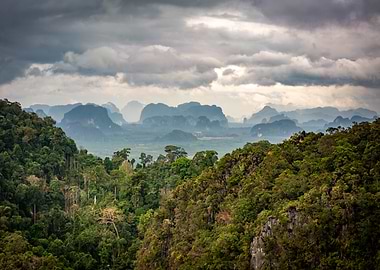 Jungle Mountain Landscape