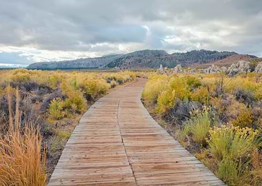 Wooden Path Through Mono Lake Landscape