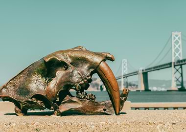 Sabertooth Skull Sculpture