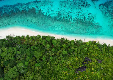 Tropical Island Aerial View