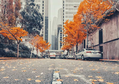 Autumn City Street