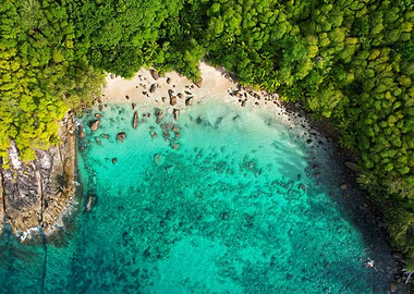 Tropical Beach Aerial View