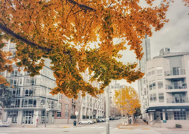 Autumn Cityscape with Ginkgo Tree