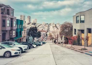 San Francisco Hilltop View